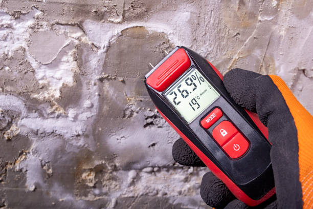 Best Mold Remediation Experts  in Panhandle, TX