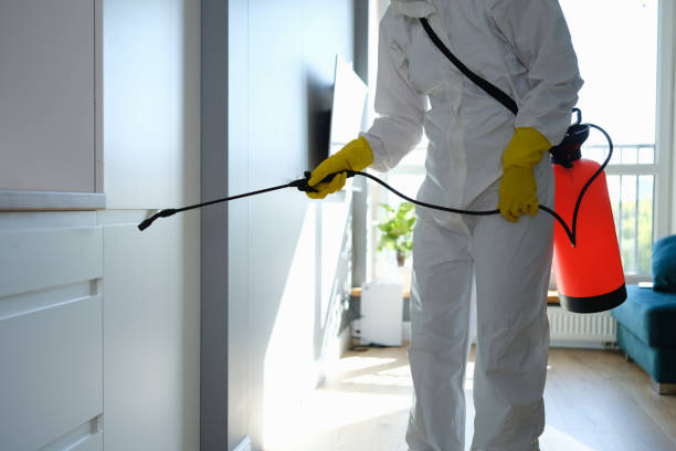 Best Mold Testing  in Panhandle, TX