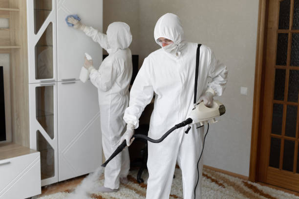 Best Crawl Space Mold Removal  in Panhandle, TX