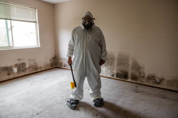 Best Home Mold Removal  in Panhandle, TX